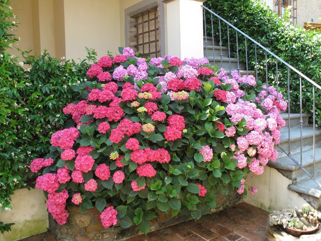 Borgo Dei Cadolingi Apartment Gambassi Terme Exterior photo